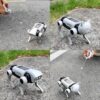 Education Diy Assembled Energy Solar Power Toy Kids Intelligent Electric Llow Price Interactive Rc Smart Robot Dog Toys - Image 19